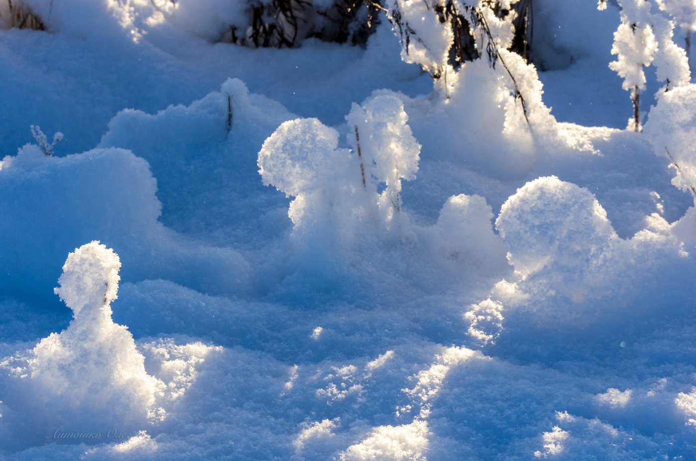 Игрушки зимы.