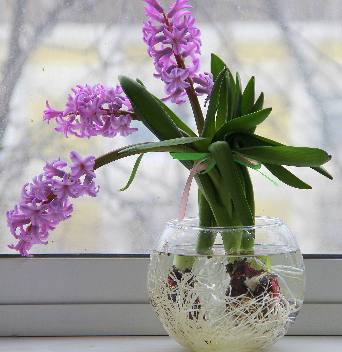 С наступающим праздником весны!