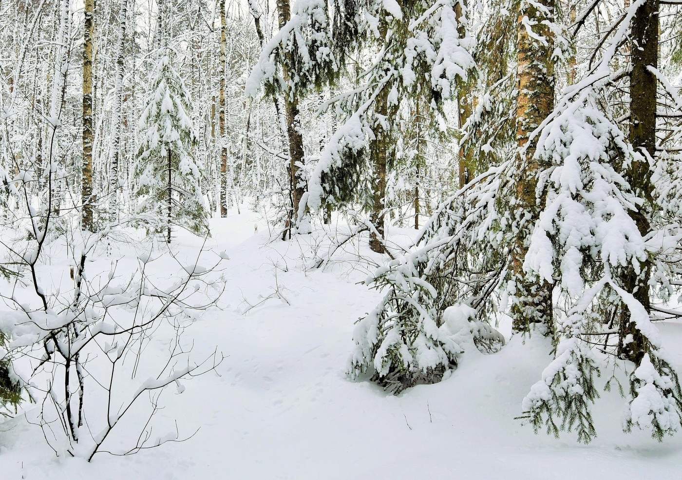 "И вновь весна, и снова март, и каждый раз он разный..."