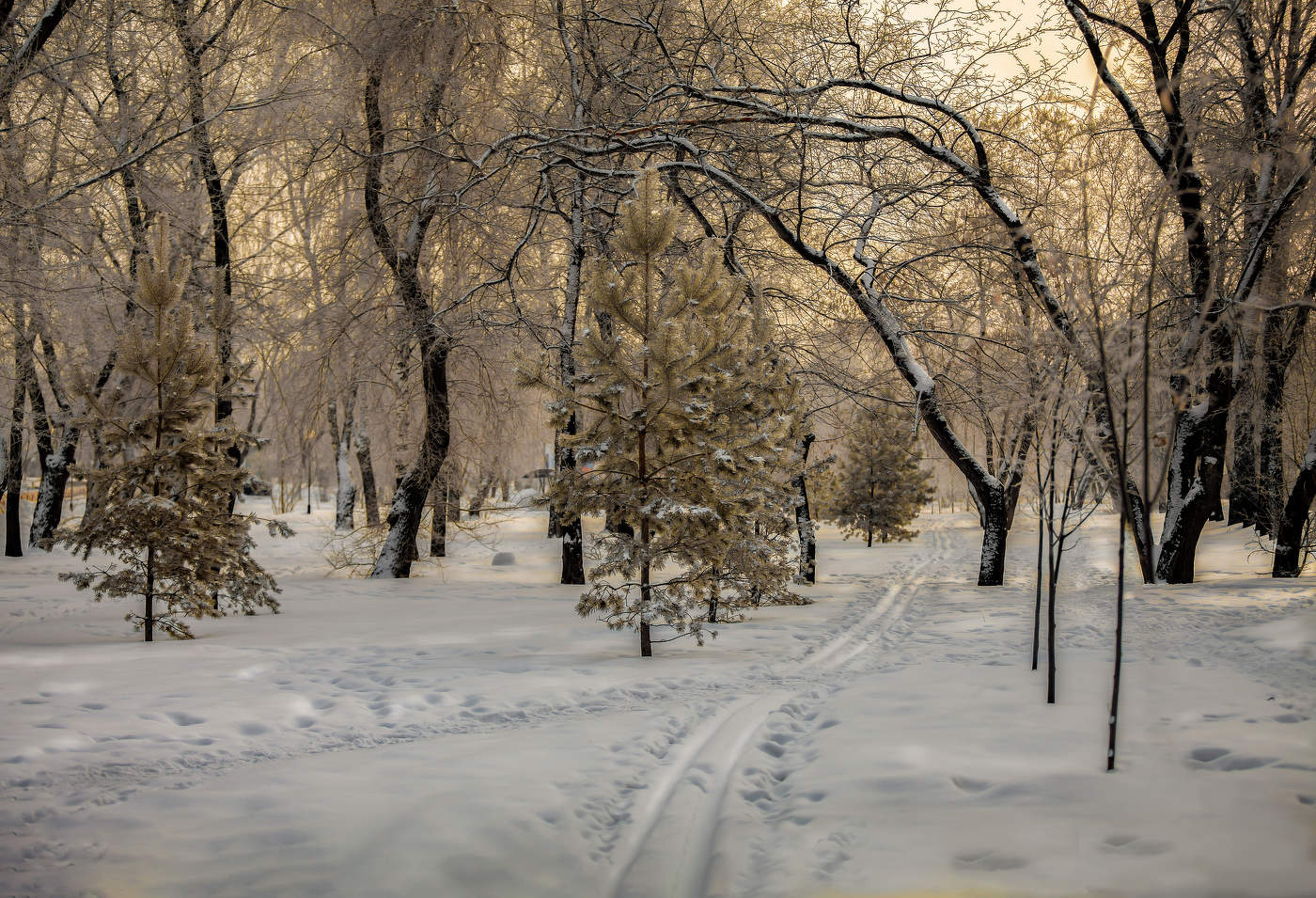 Тюмень.Утро.Сквер "Комсомольский".