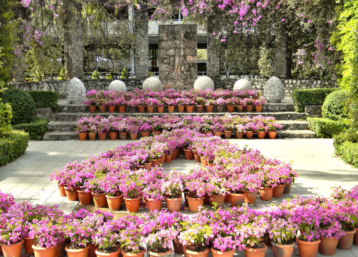 Для милый дам к празднику