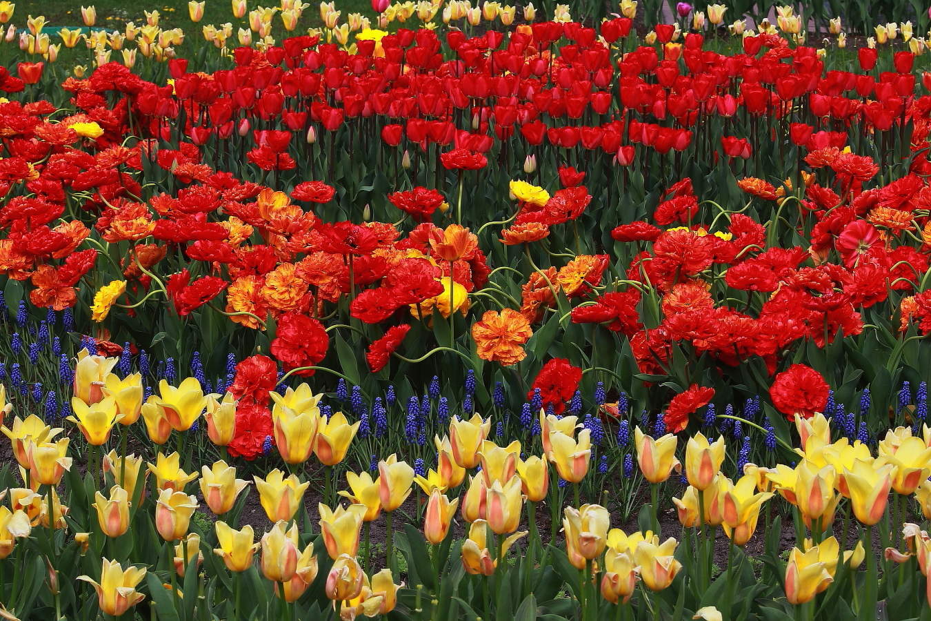 С Праздником милые дамы !!!