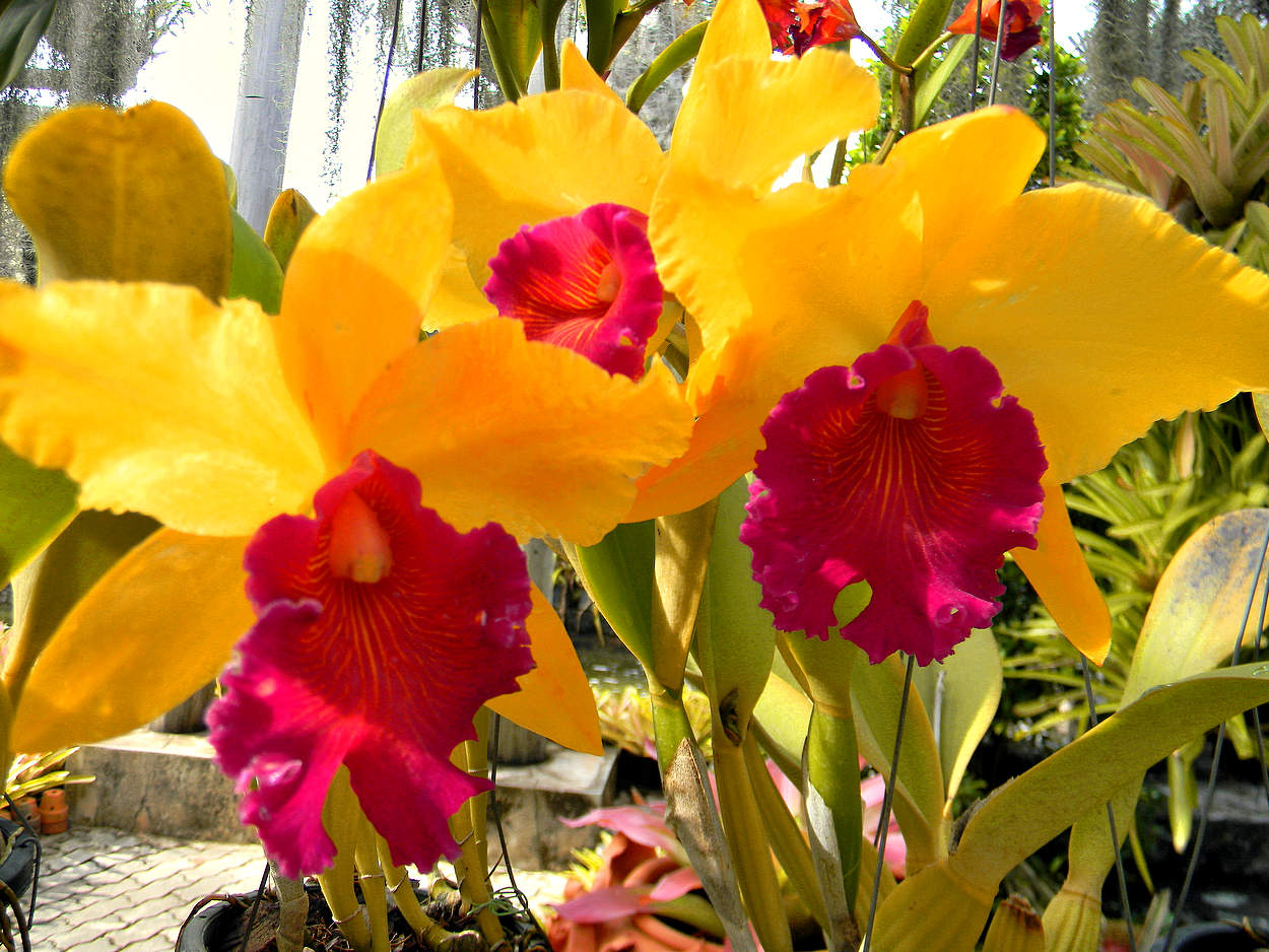 С праздником 8 Марта, дорогие женщины