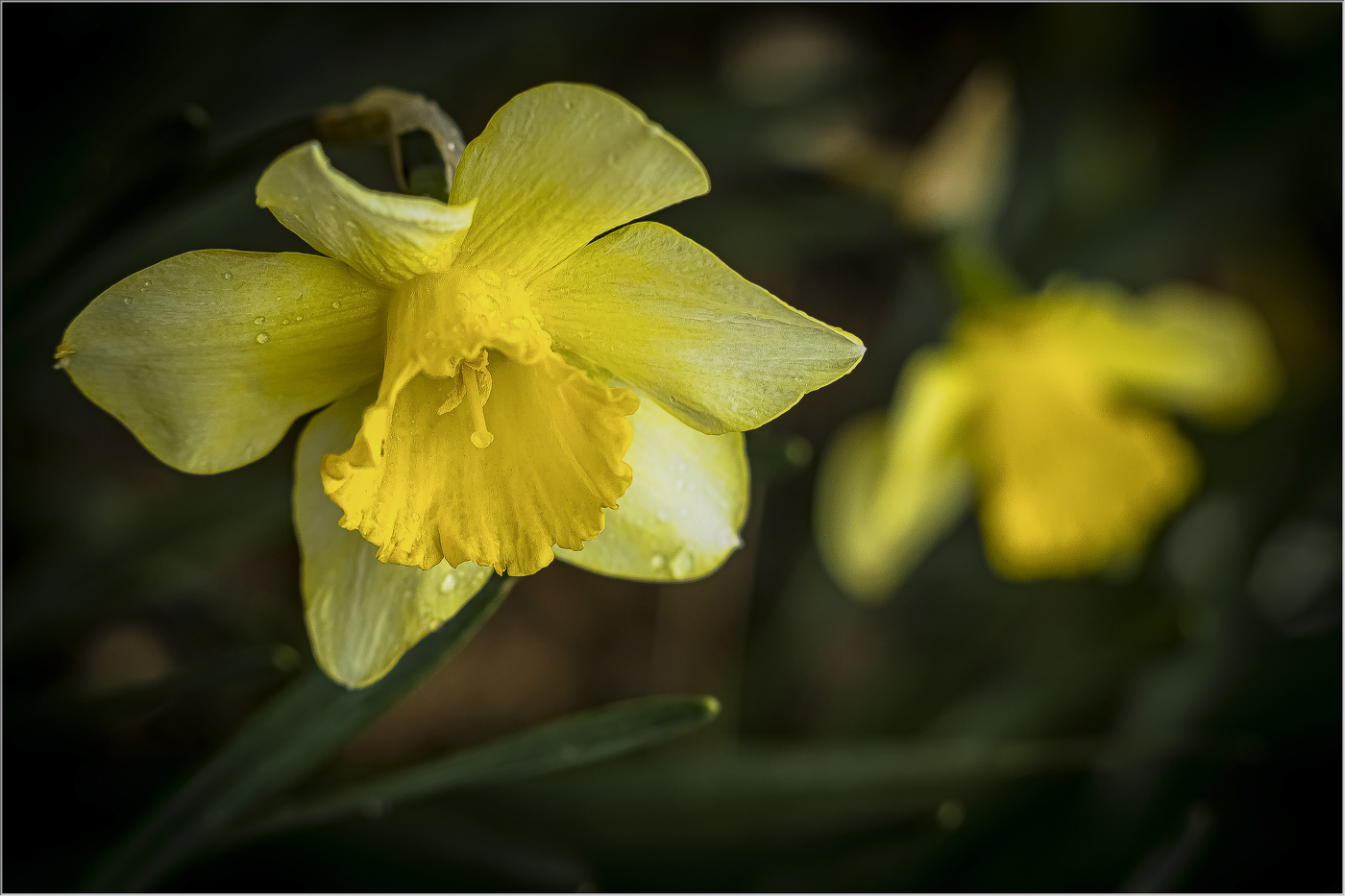 Всех женщин влюбленных в фотографию с праздником!