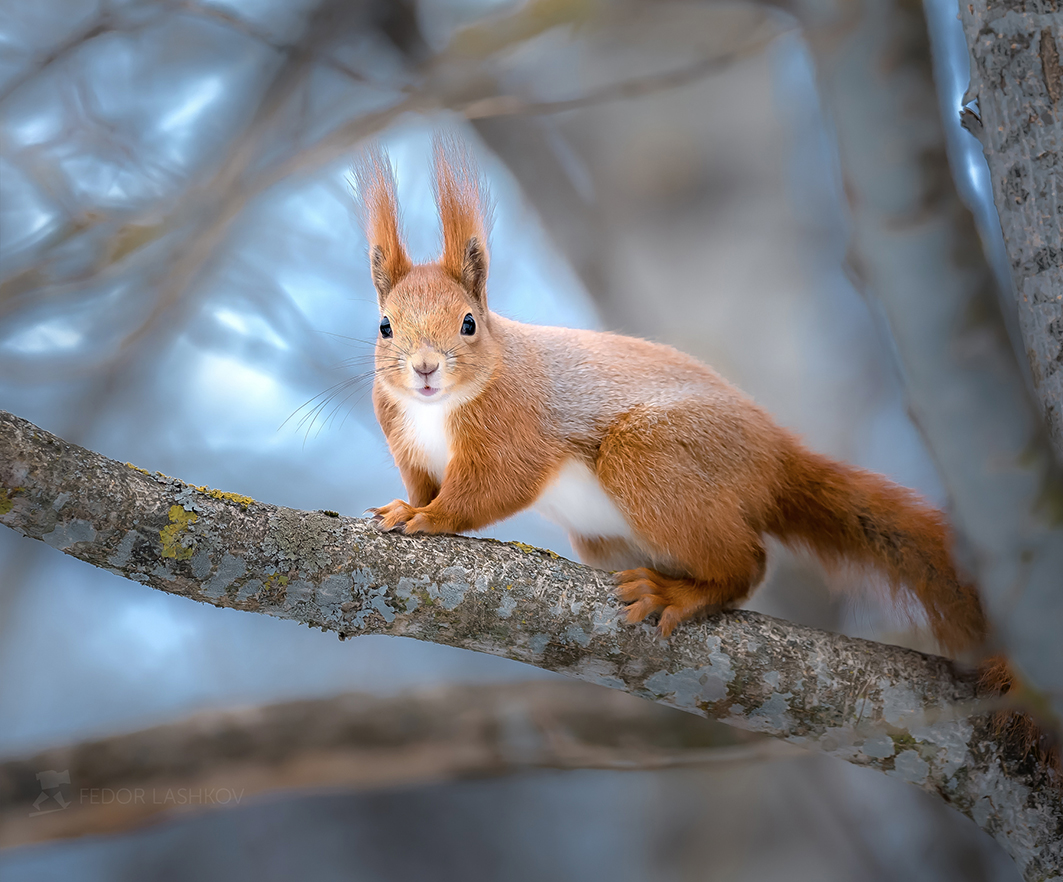 Во всей красе
