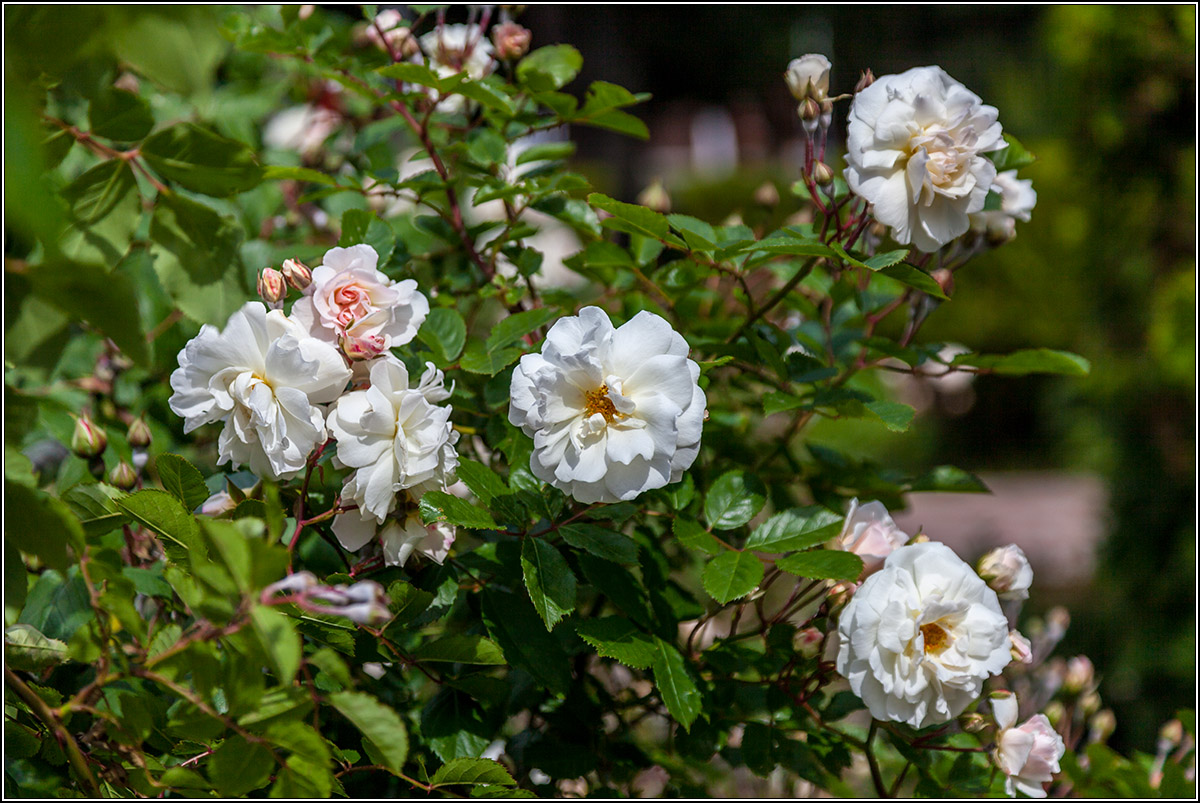 В День 8 Марта.