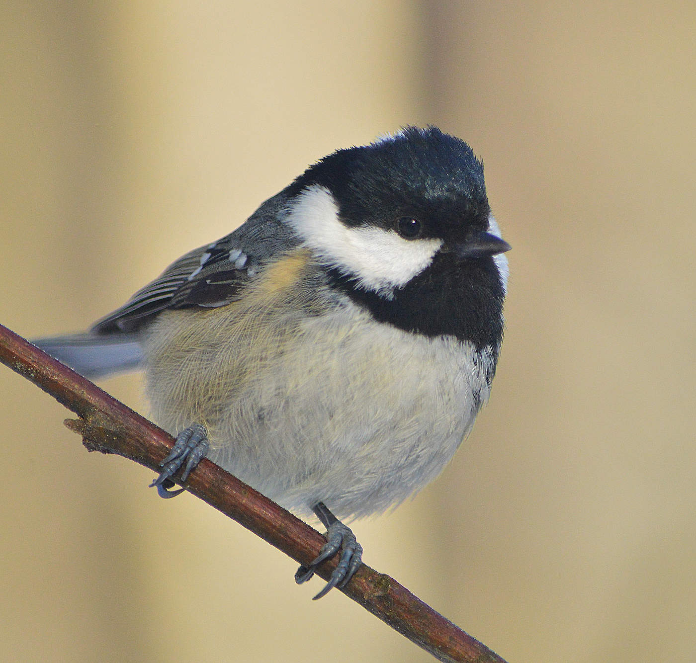 Не в настроении.