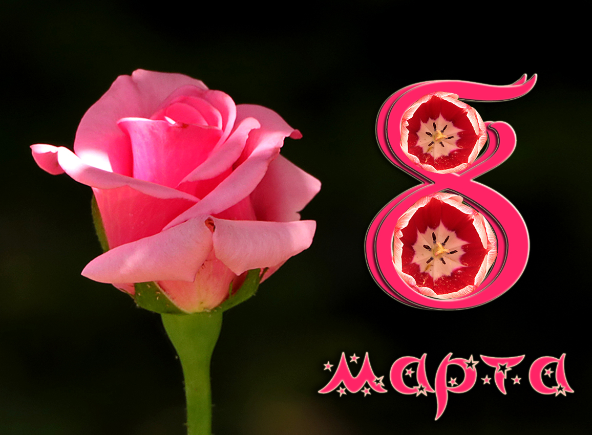 Всех женщин с весенним праздником!