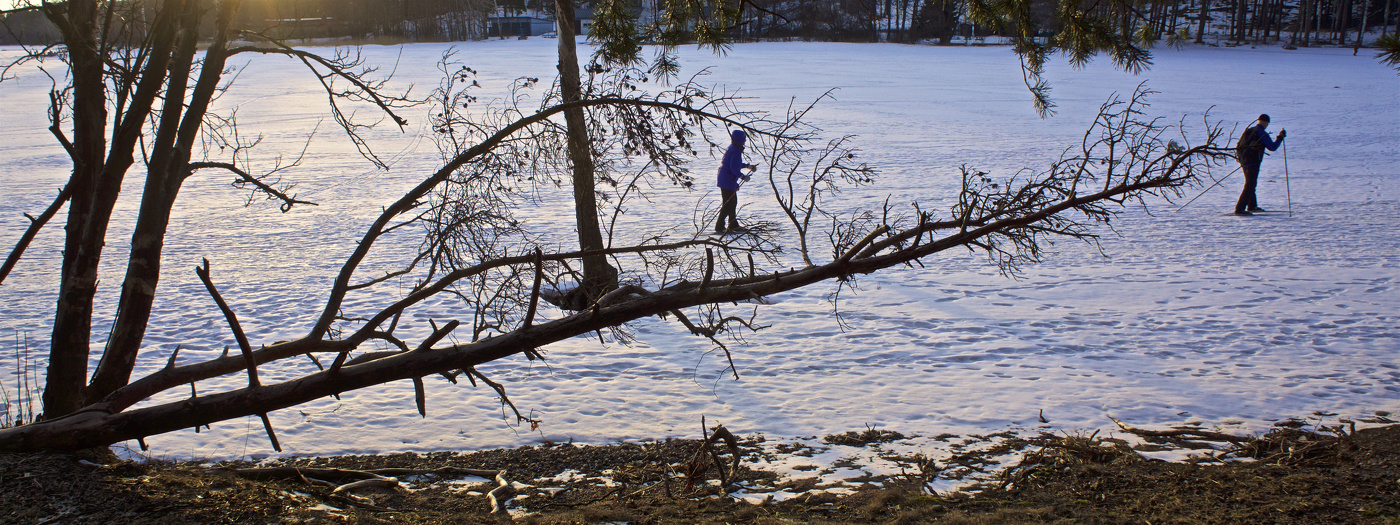 Мартовское пробуждение