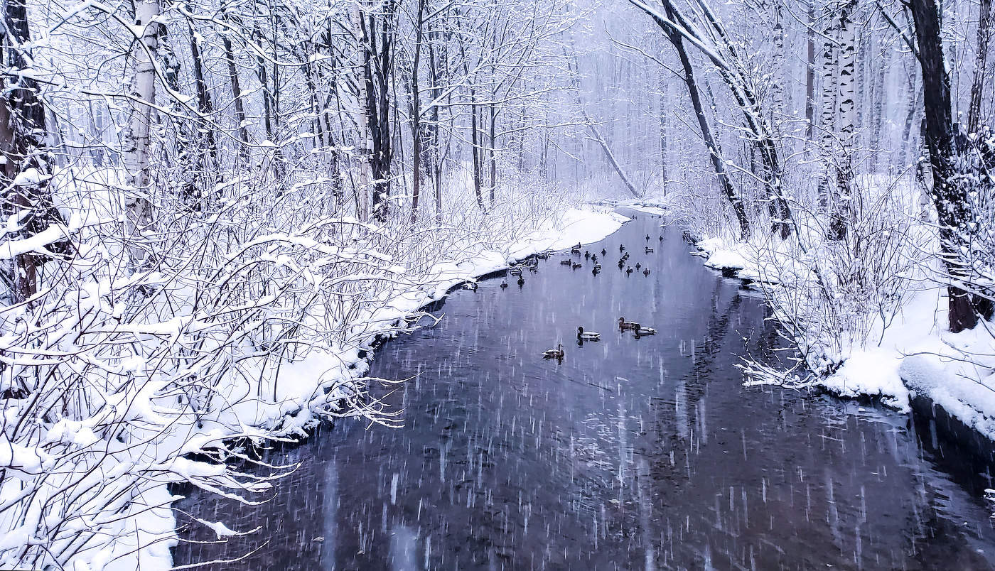 Мартовский снегопад