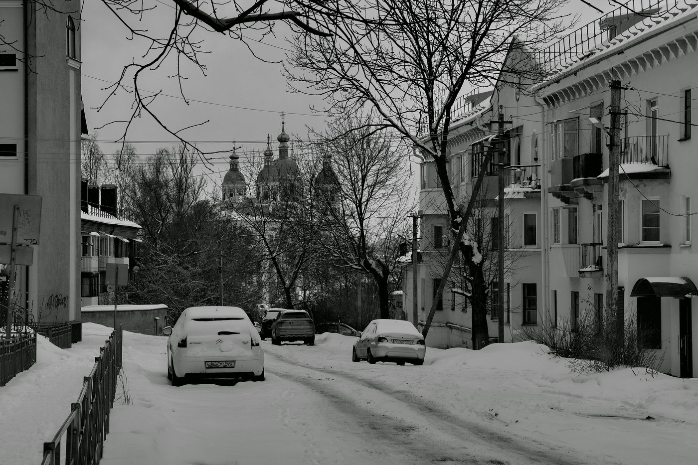 Заповедный уголок.