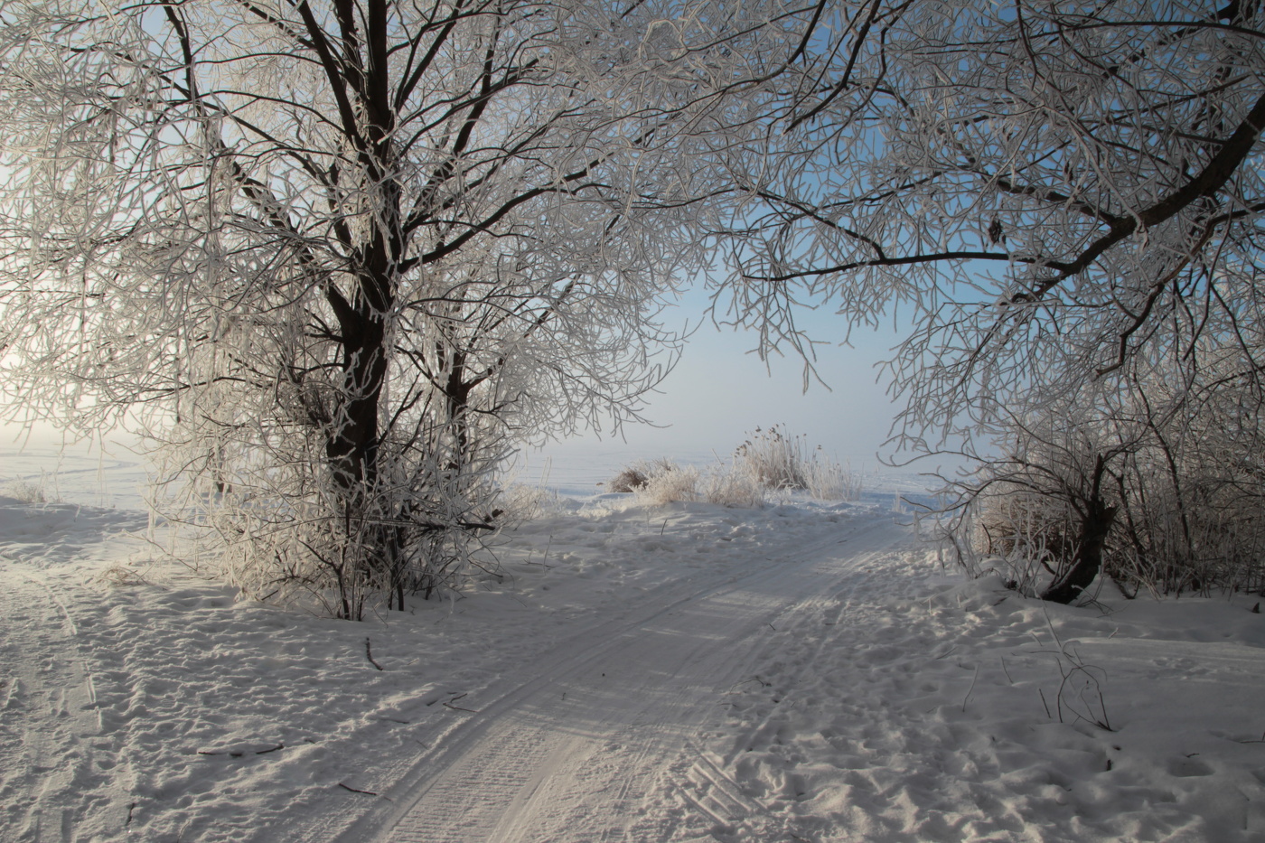 Сказочное утро