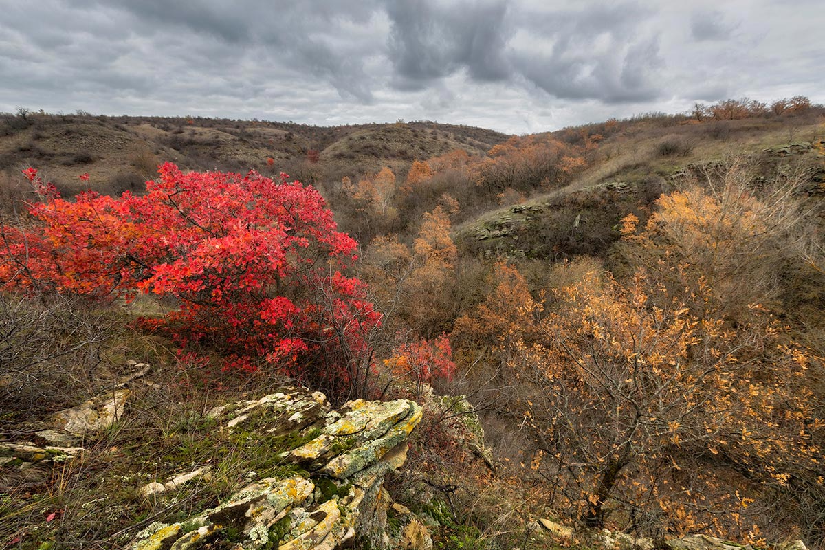Ноябрь в Кондрашкиной балке