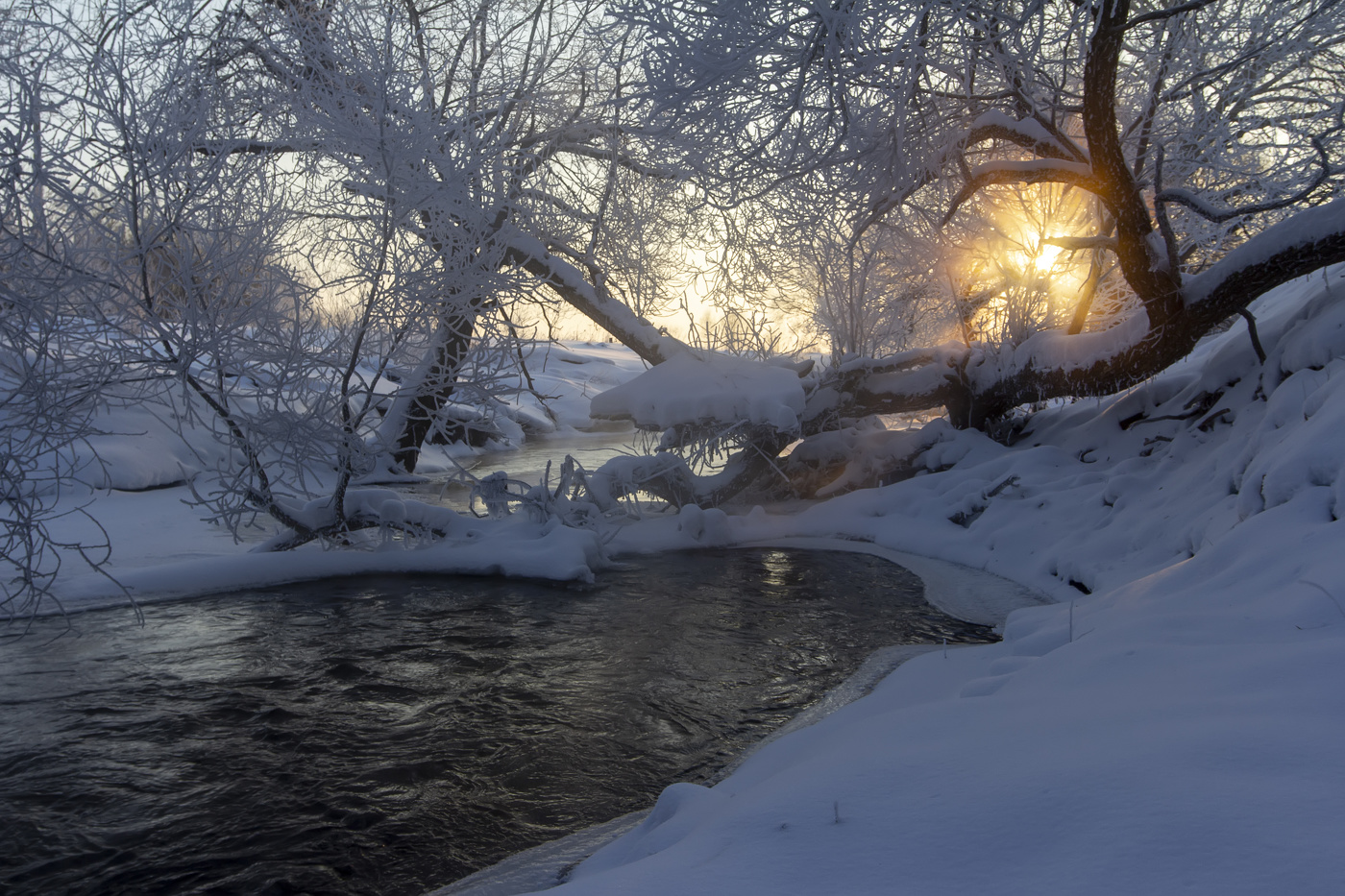 Морозное утро...