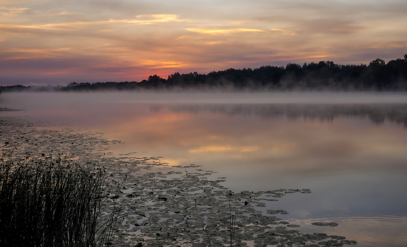 Будет теплый день