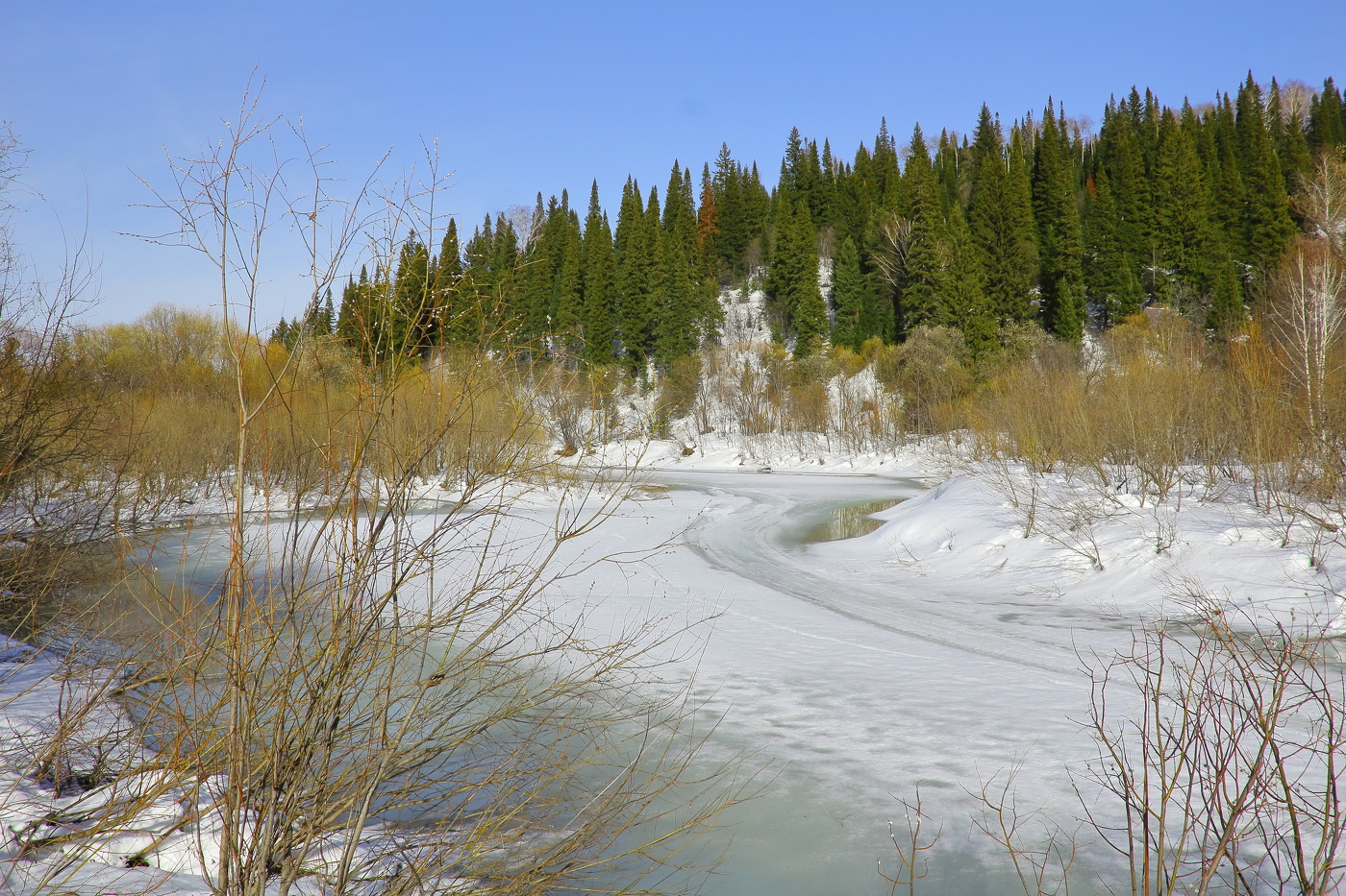 В тайгу пришла весна
