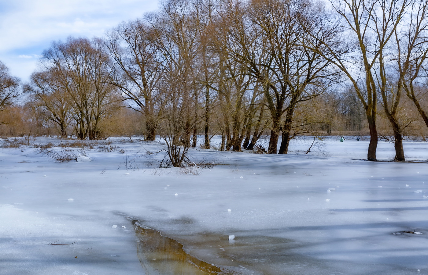 Отражения,тени,осколки Зимы...