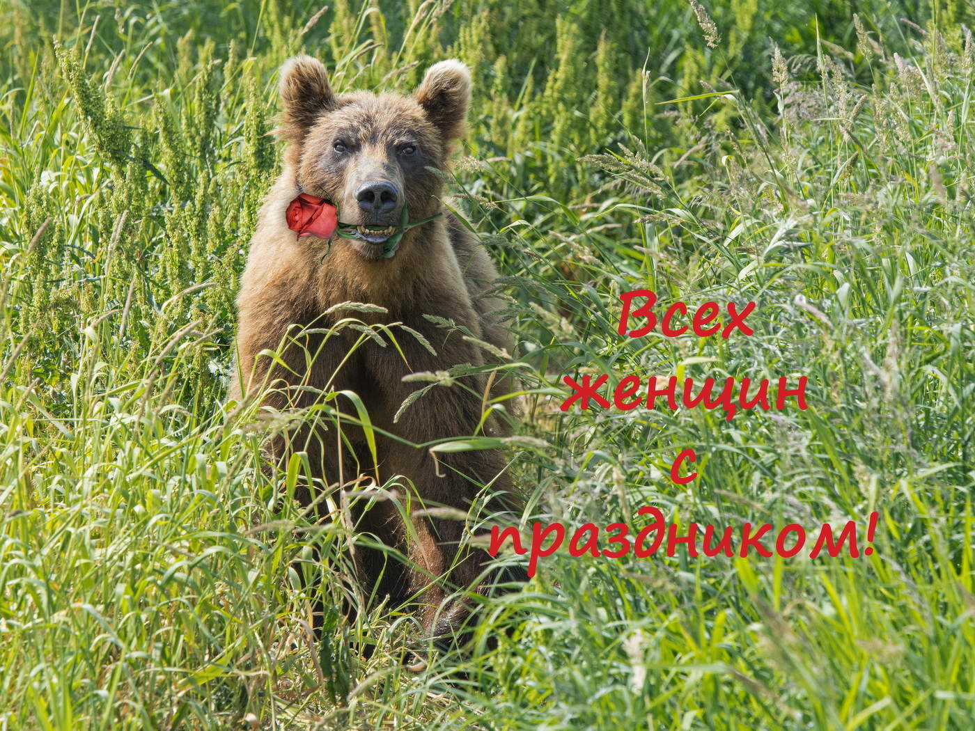 Поздравление