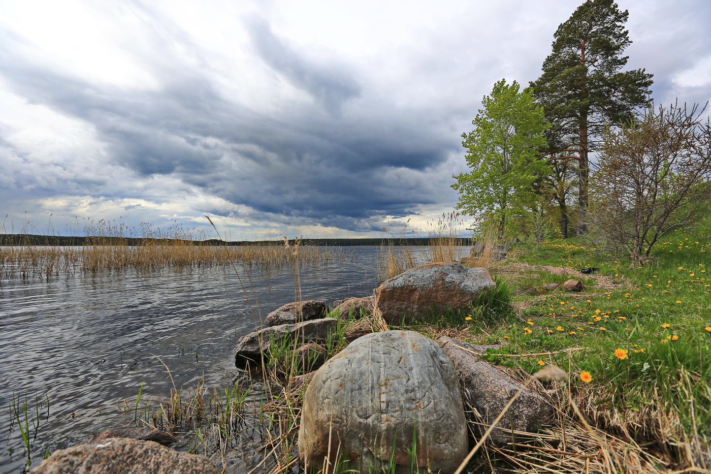 Хмурый Селигер