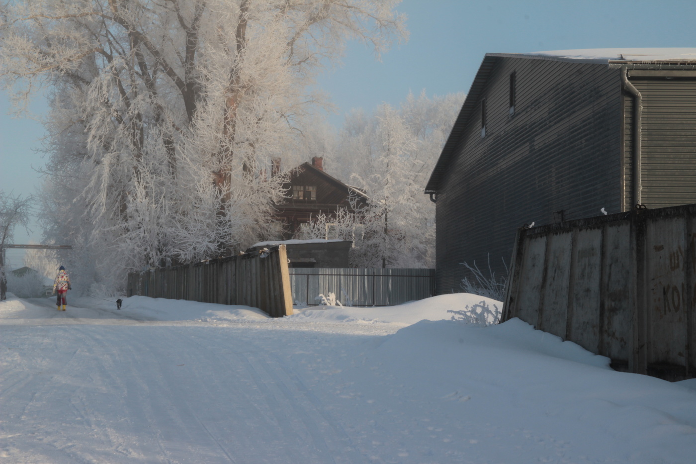 Зима не сдается