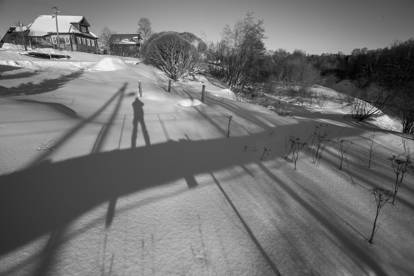 Жизнь вокруг