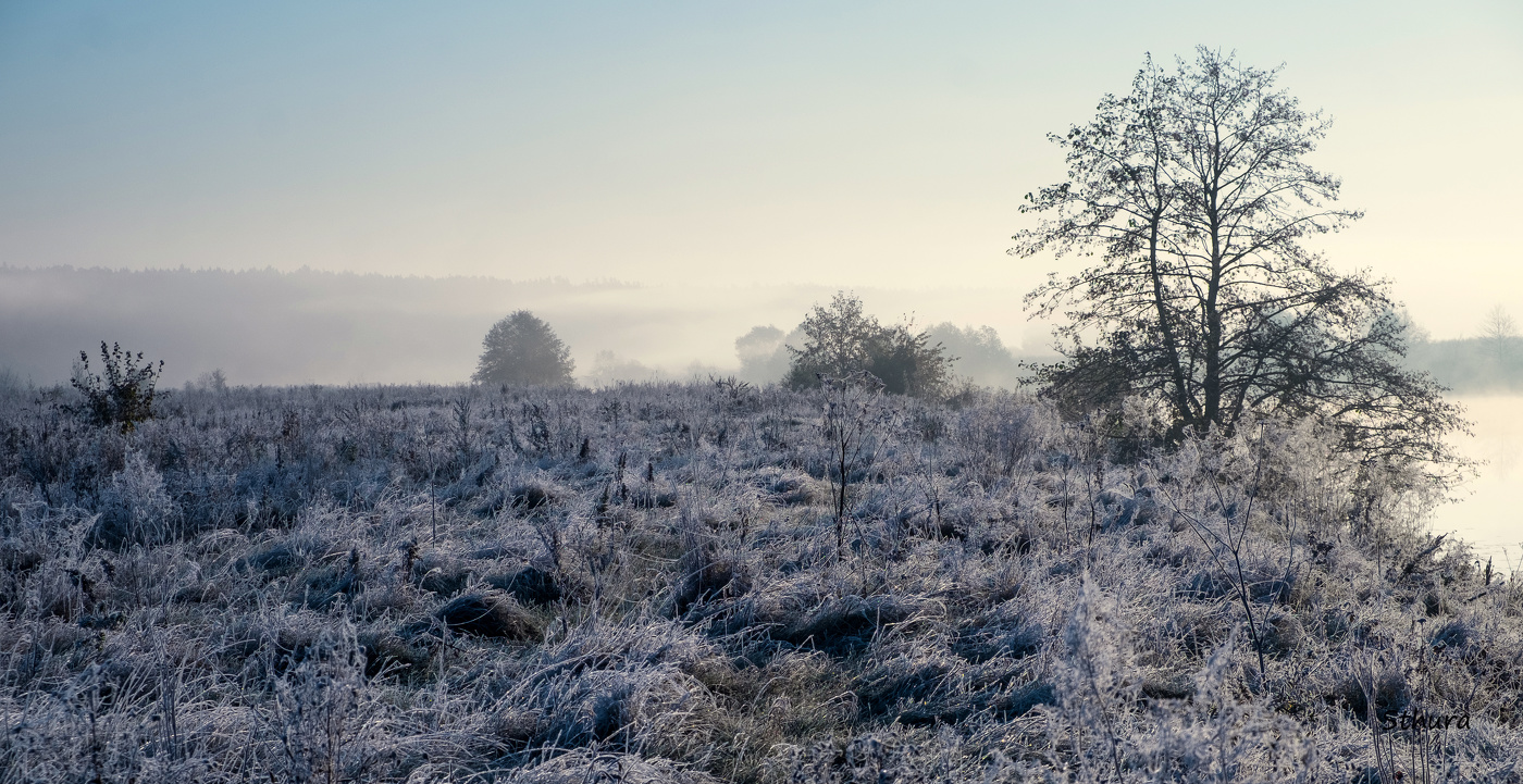 Осеннее утро.