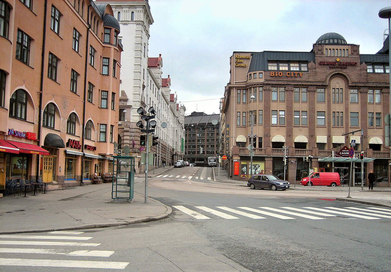 Зебры в городе