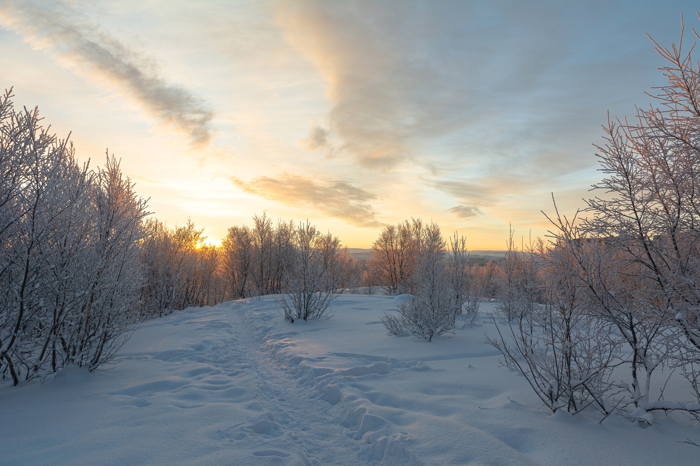 зимнее утро