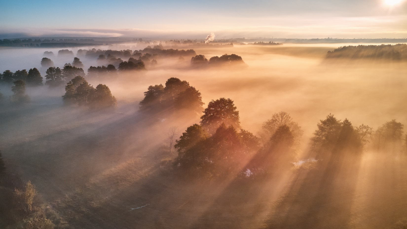 Утренний Свет
