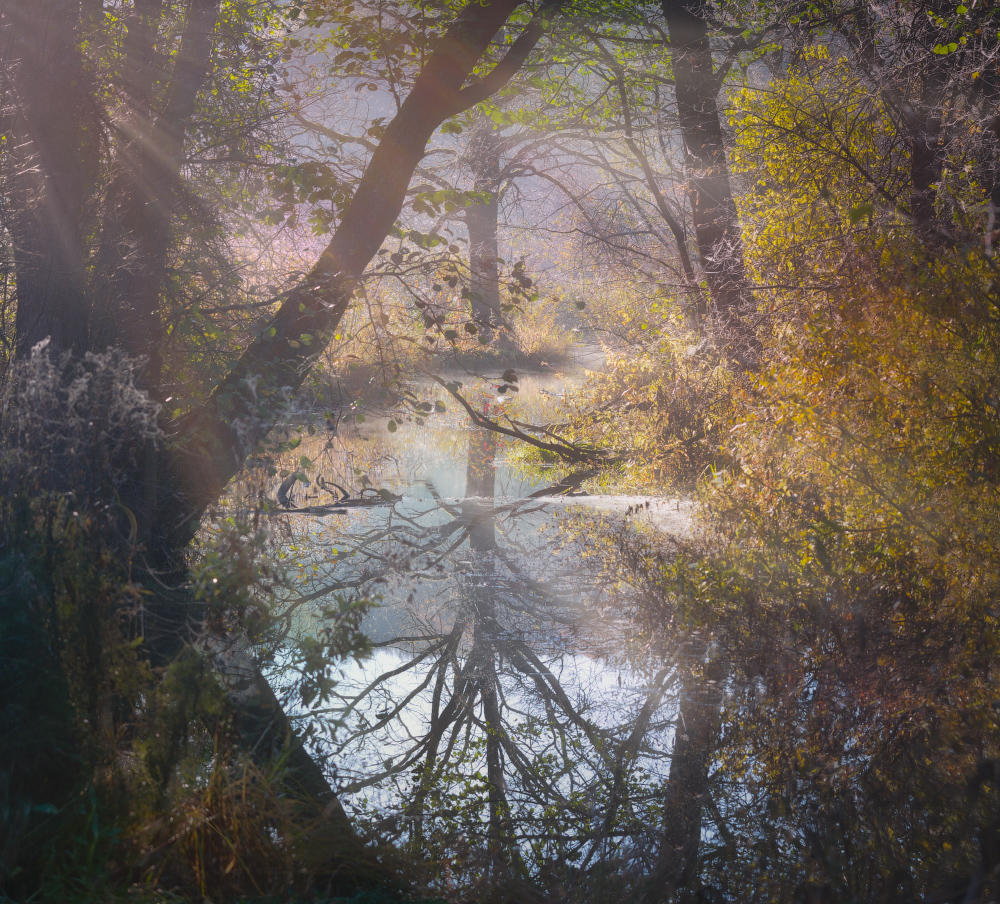 О тихой осенней речушке