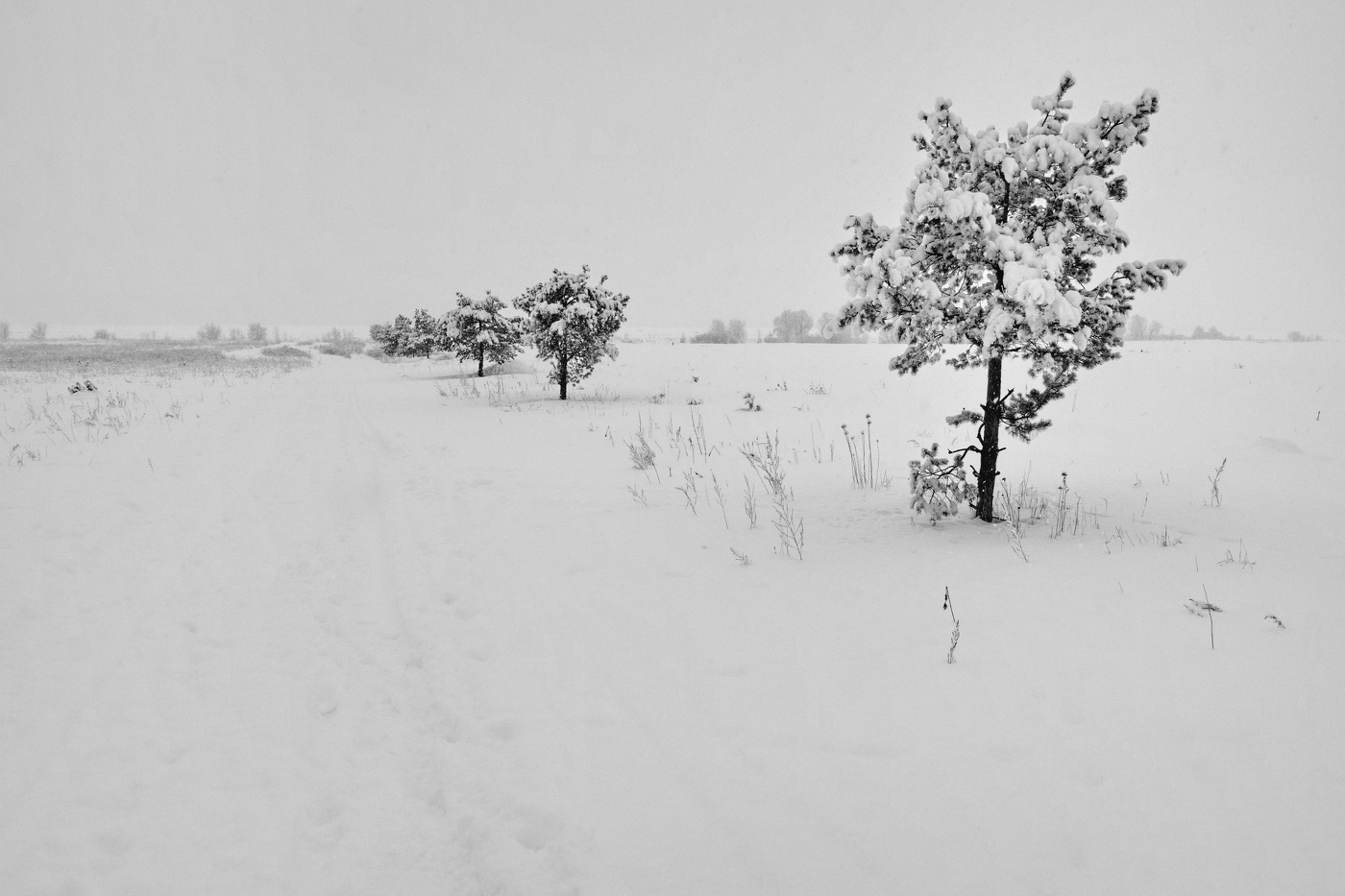 Мартовский пригород