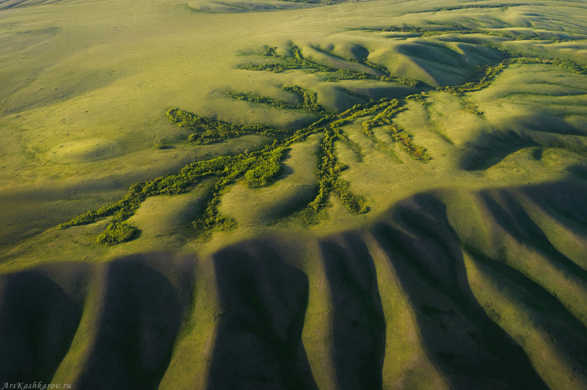 "Степные фракталы"