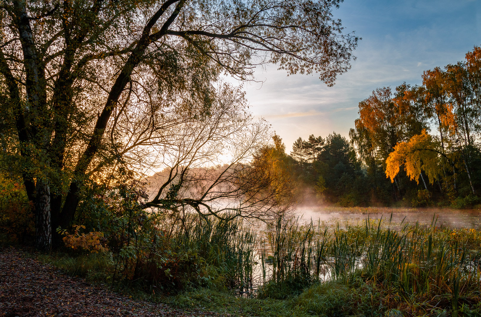 सुबह पार्क में