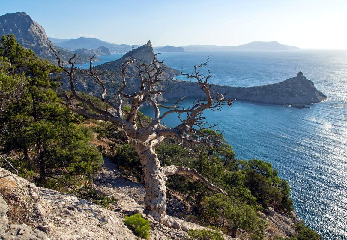 Новый Свет.