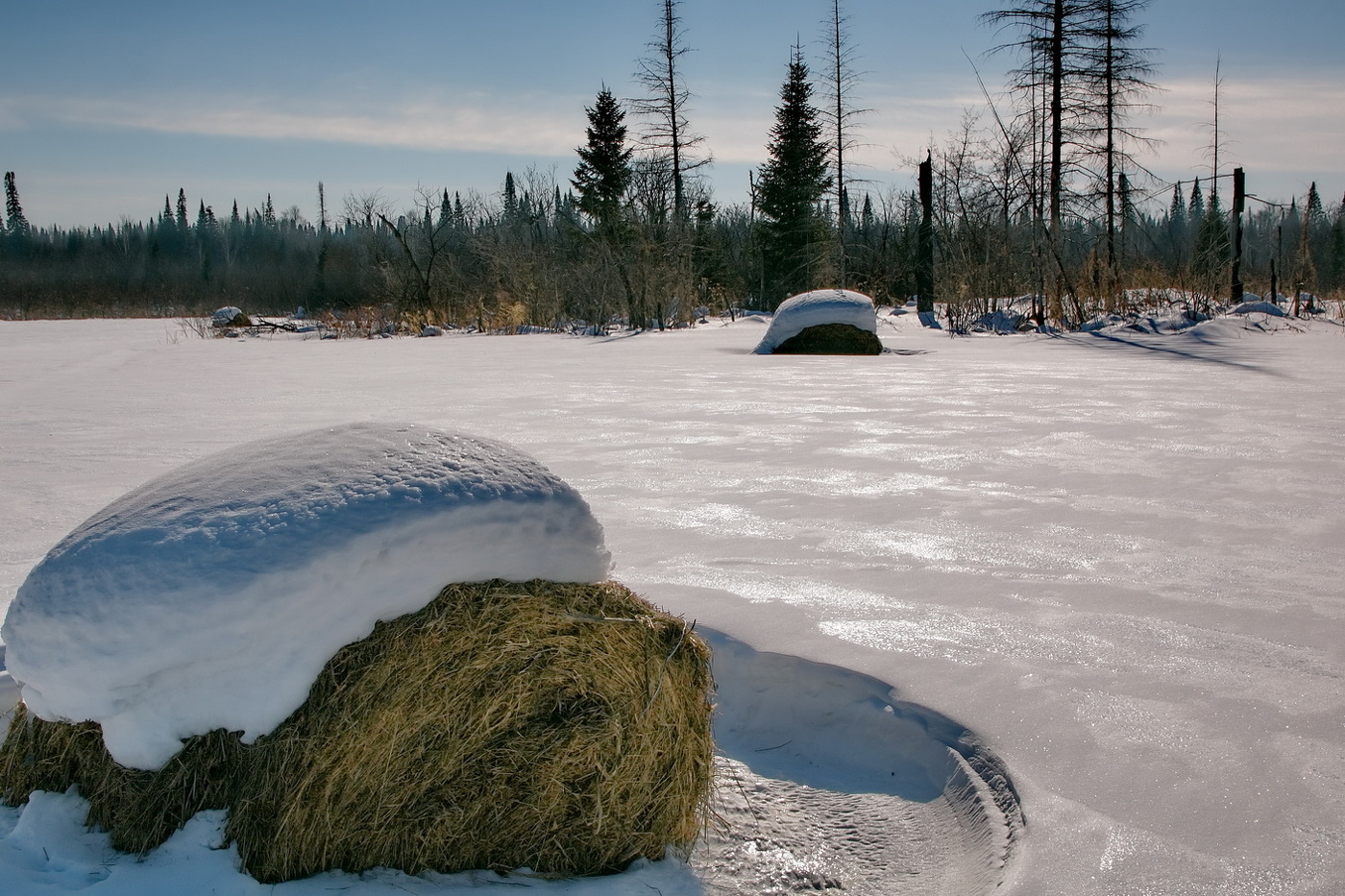 *Мартовским днём.**