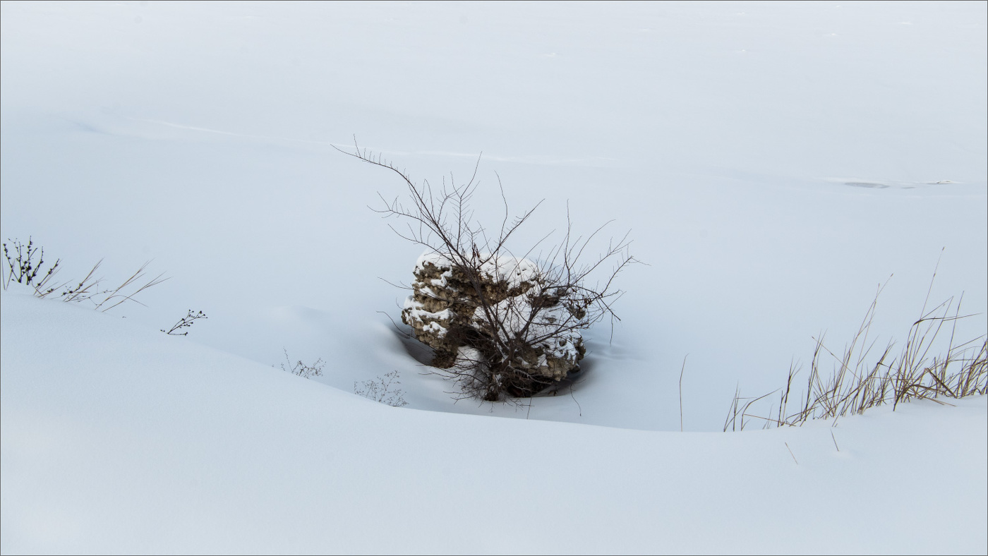 выберите форму