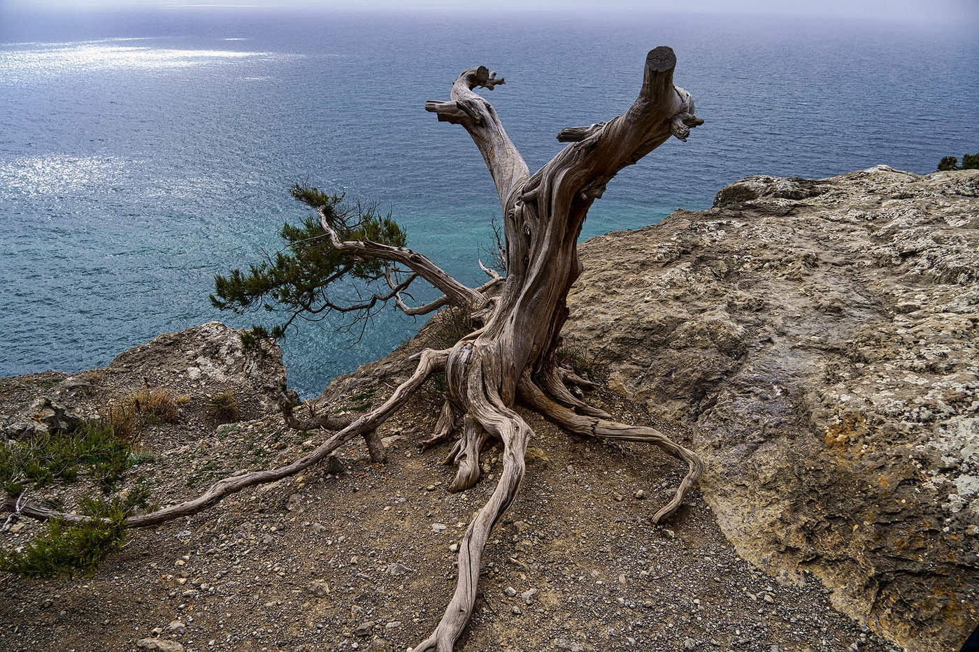 На Голицинской тропе