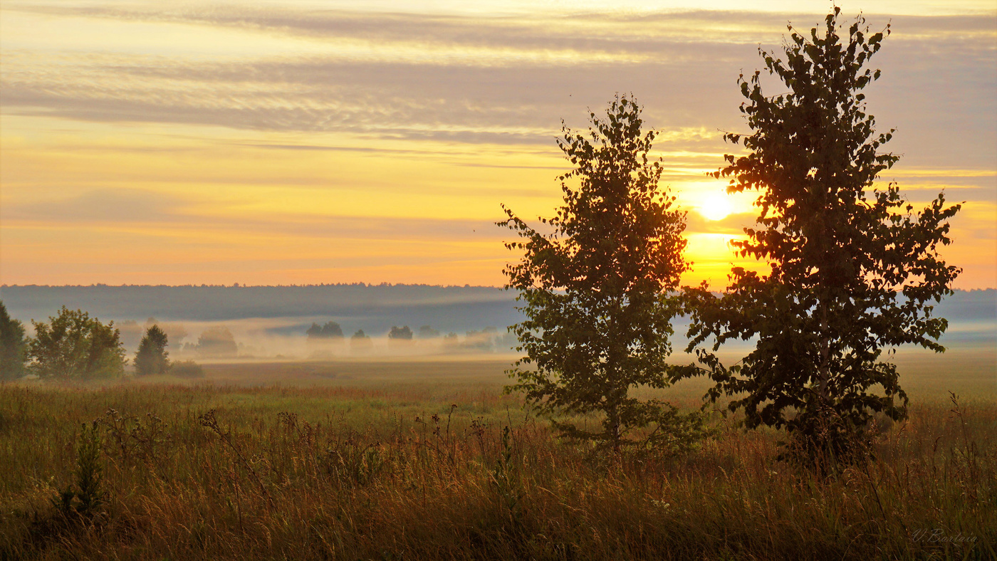 В тумане лёгком день рождался...
