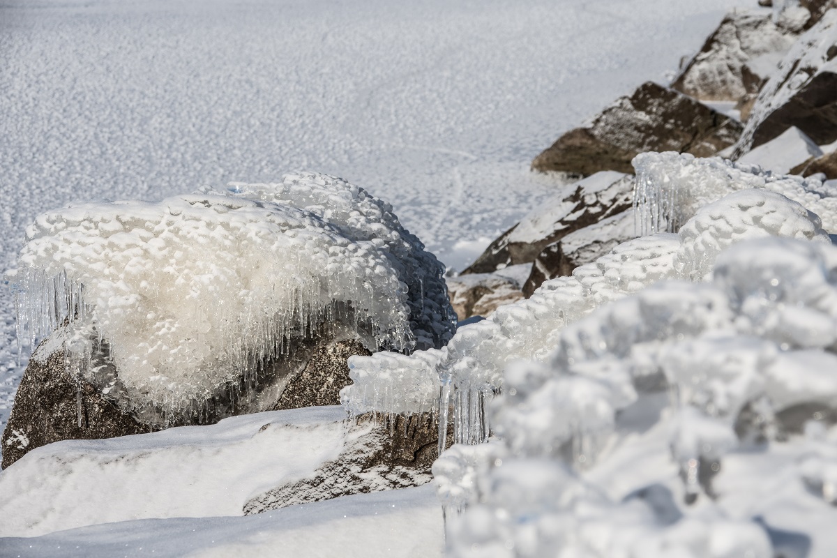 На весеннем солнышке