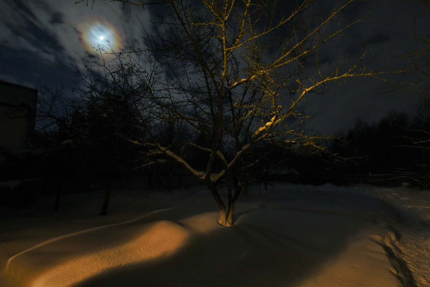 "Ночь плавно близилась к рассвету ..."