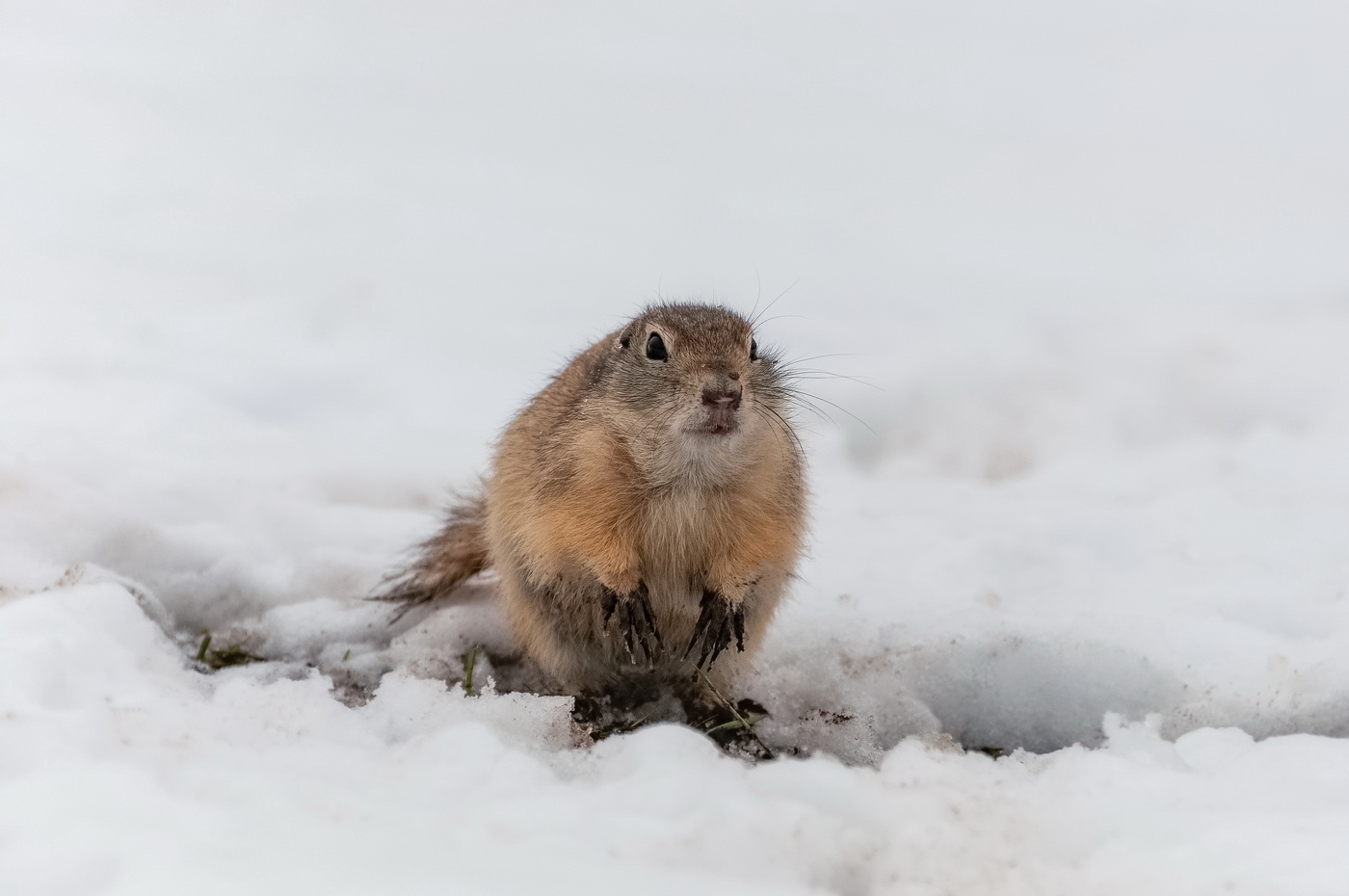 Вот и весна!