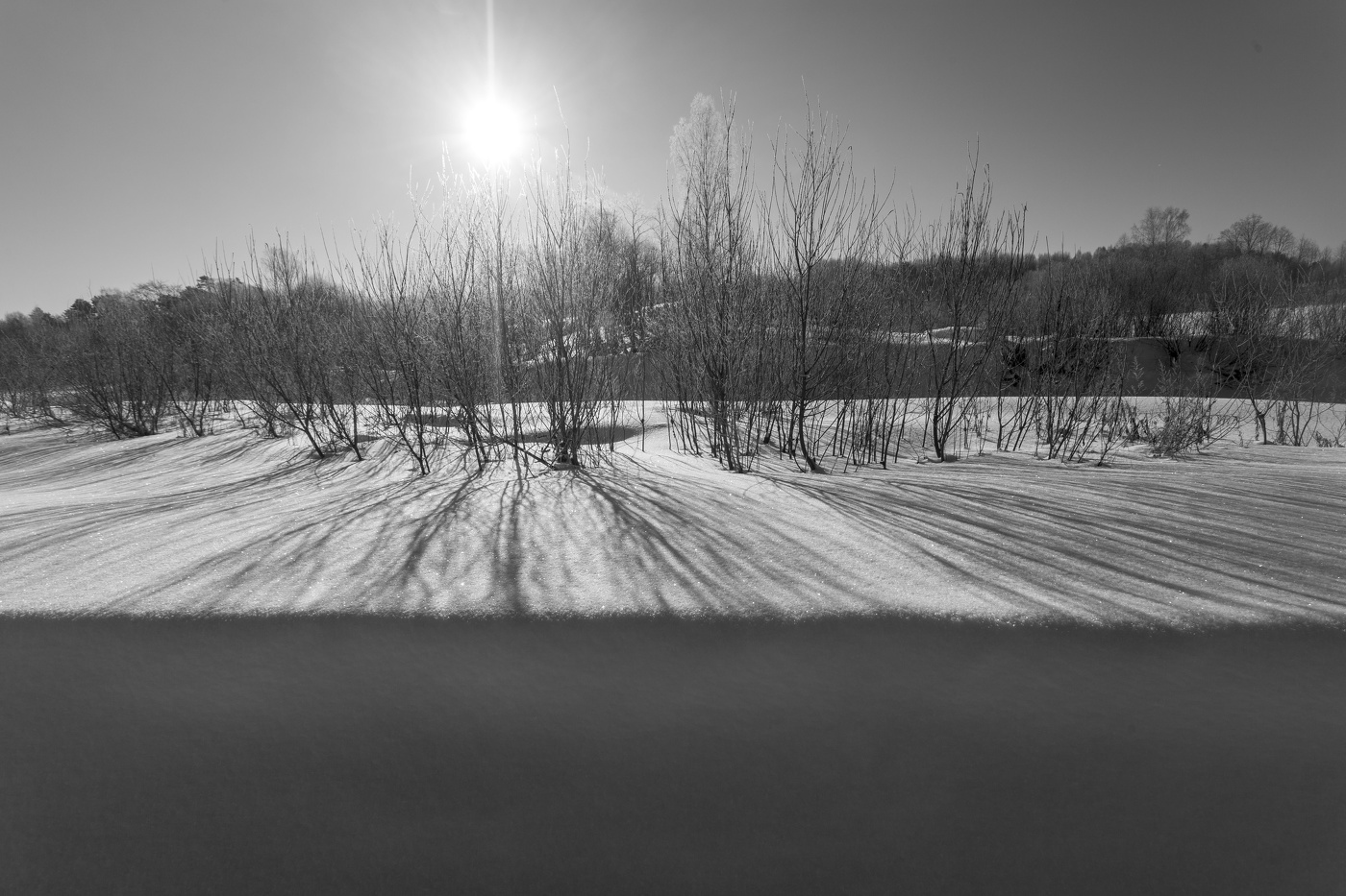 Жизнь вокруг