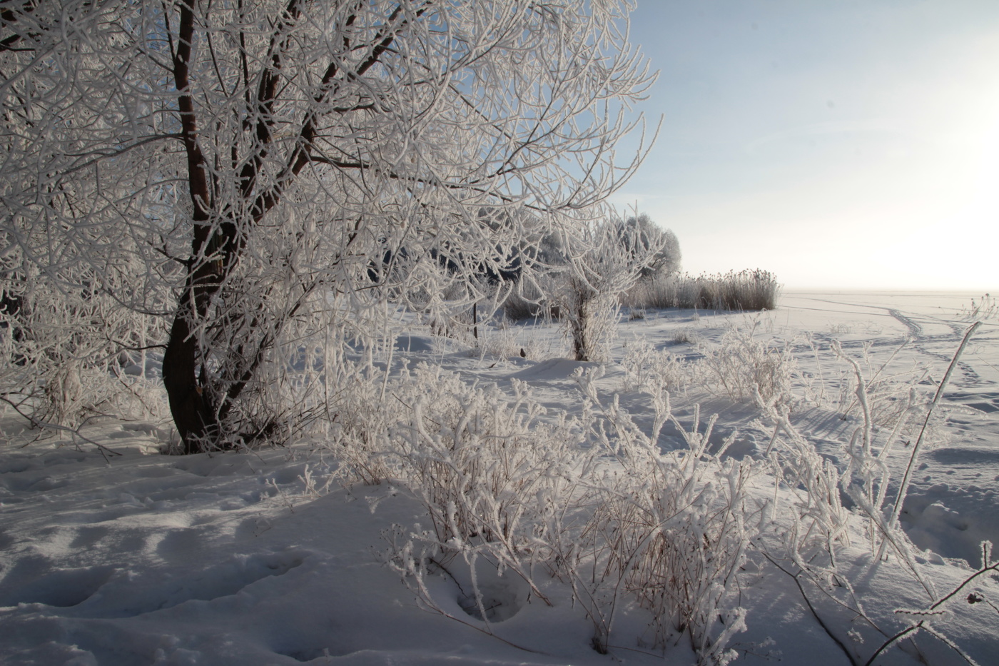 Весна там, где солнце...