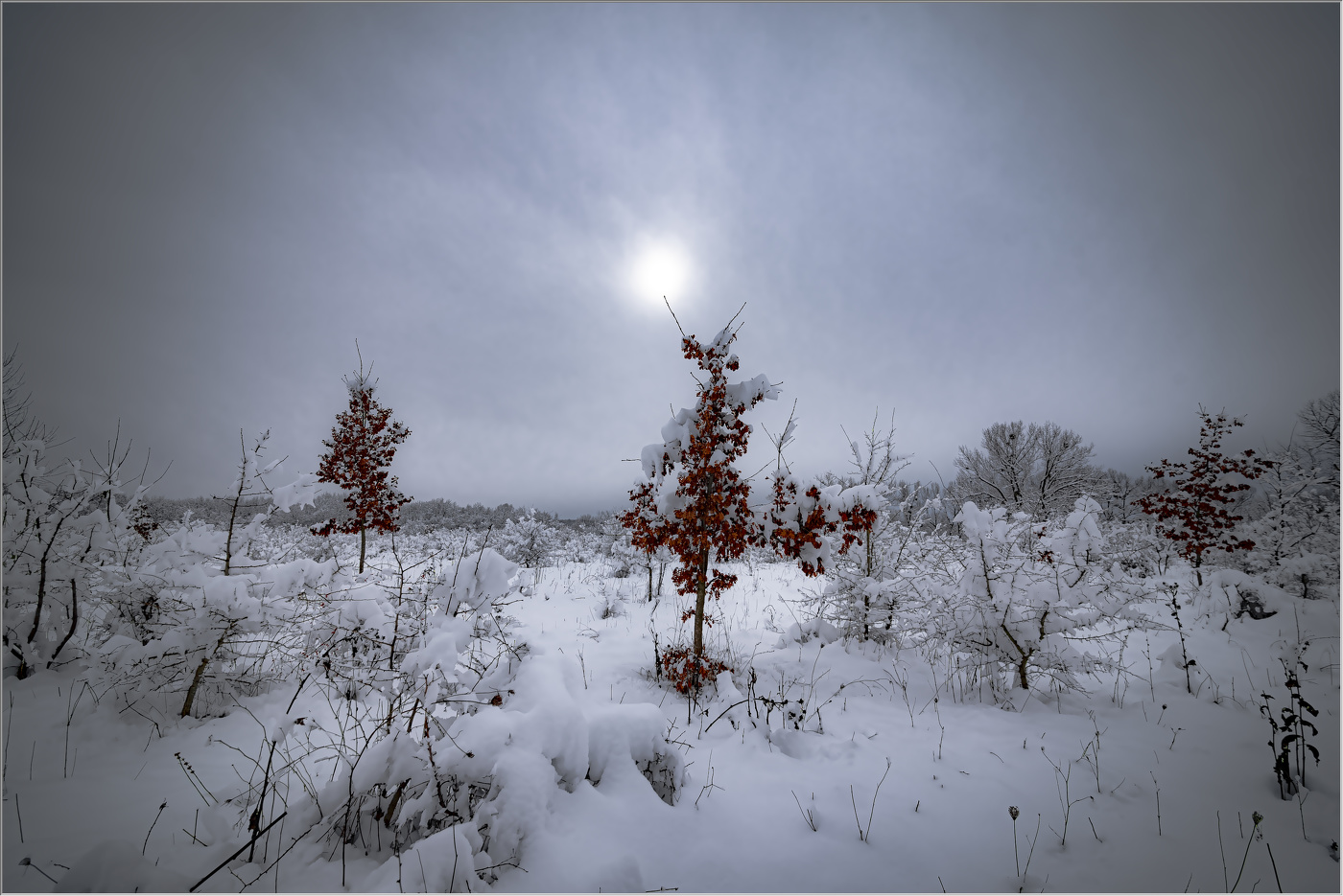 В осенне-зимнем одеянии