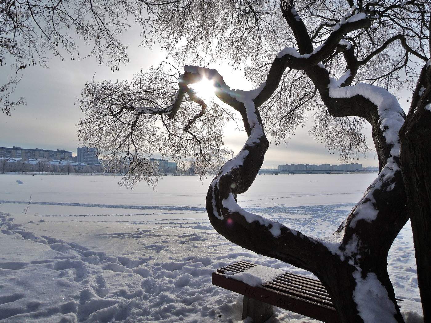 весеннее солнце