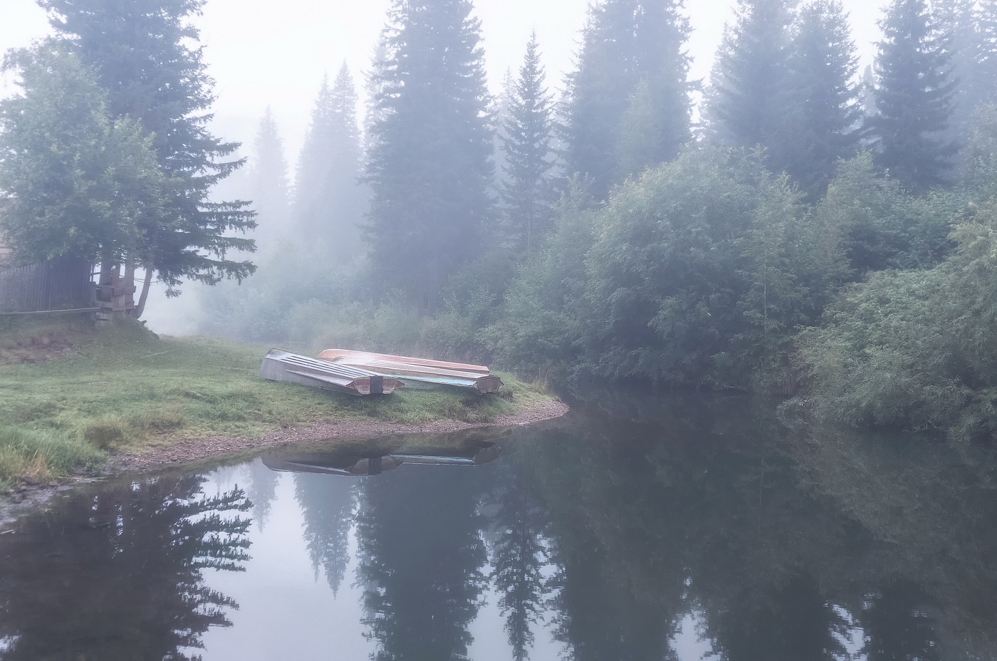 Туманный рассвет