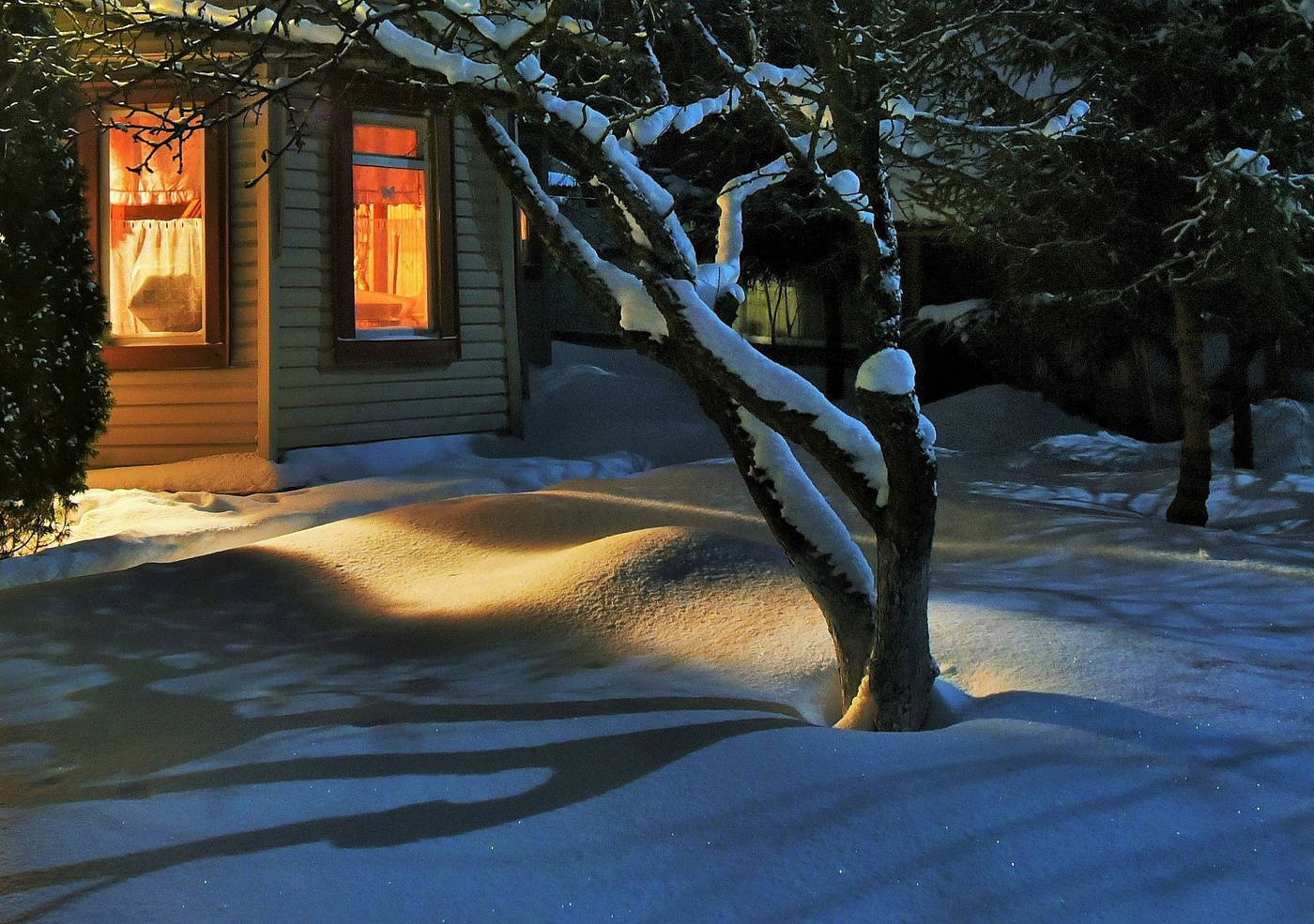 "Я скоро умру, - плакал мартовский снег..."