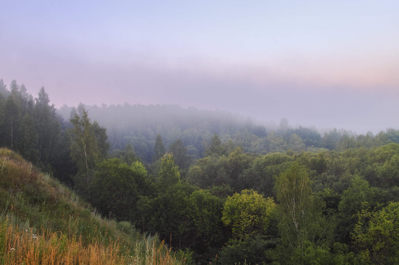 Рассветные туманы