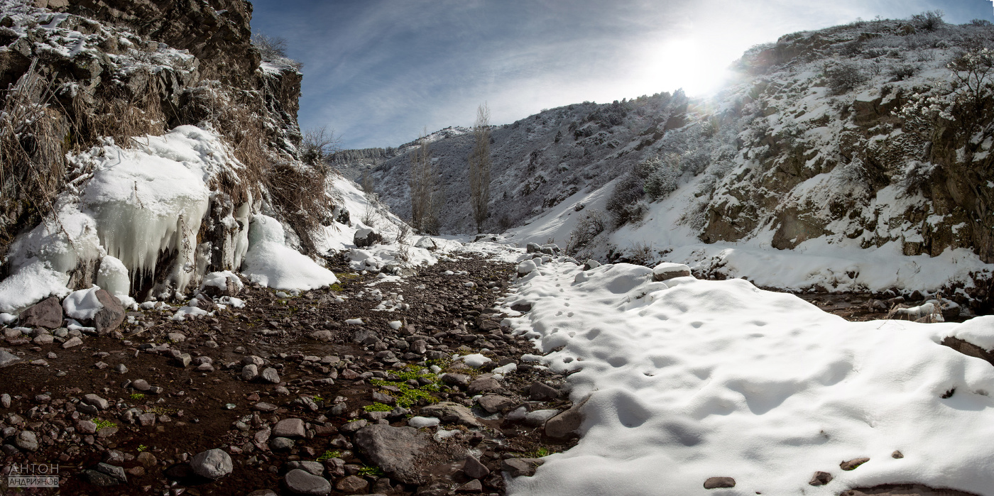Первая зелень