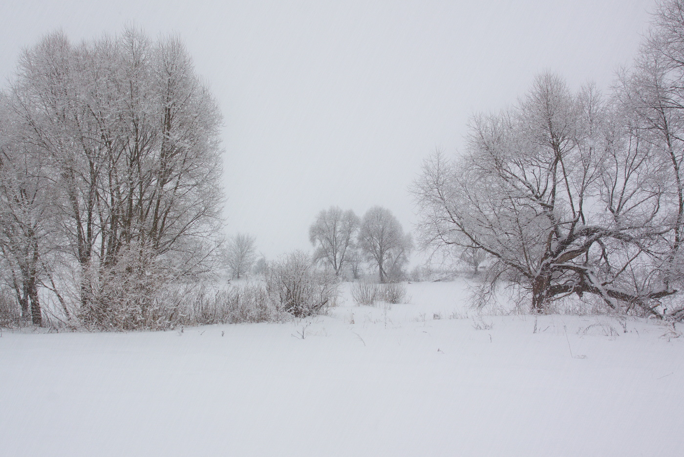 Не заметная весна